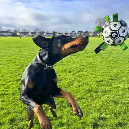 Fluffy Companion™ Doggy Soccer Ball