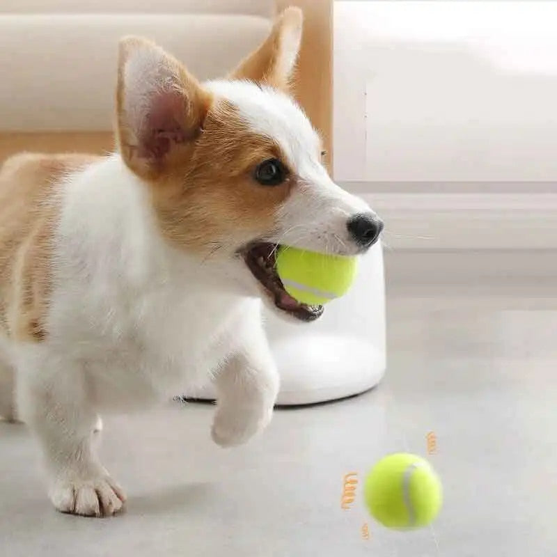 Fluffy Companion™ Catapult For dog Ball Launcher Tennis